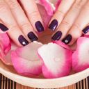 rozova dolina limited