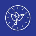 timepeace ltd