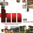 hm consulting group limited