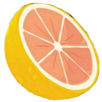 grapefruit it ltd
