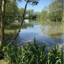 fairwood lakes holiday park limited