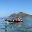 ilfracombe sea safari limited