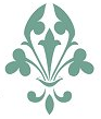 amnq limited