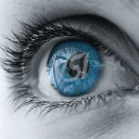 vsi executive education ltd