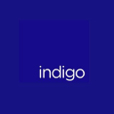 indigo environmental limited