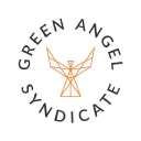 green angel ventures limited