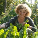 pasta grannies limited