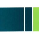 technology risk & controls consulting limited