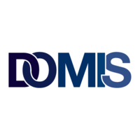 domis construction limited