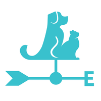 east of england veterinary specialists limited