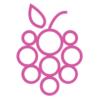 mulberry risk limited