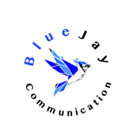 blue jay catalyst ltd