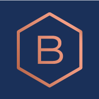 balthorne security solutions limited