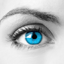 sw4 services limited