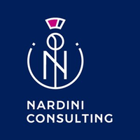 nardini consulting ltd