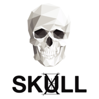 skull x ltd