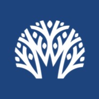 daintree wealth management limited