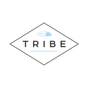 tribe salons limited