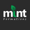 mint formations ltd