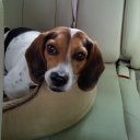 nonlinear thinking limited