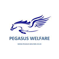 pegasus welfare solutions limited