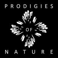 prodigies of nature limited