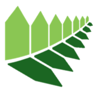 grace construction and management ltd