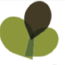 bovey futures limited