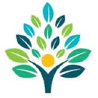 elevate multi academy trust