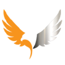 drone major group limited