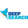 deepsearch limited