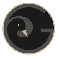 goose digital limited