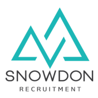 snowdon recruitment limited