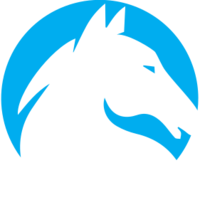 argento investments ltd