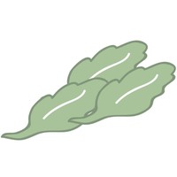 george estates limited