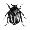 beetle creative limited