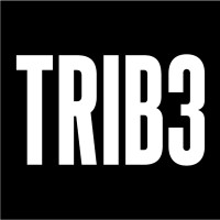 trib3 international limited