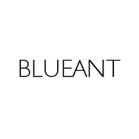 blueant consultancy limited
