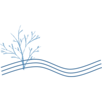 layer brook consultancy limited