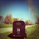 the elemental mule ltd