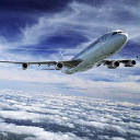 skyfort travels limited