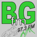 bgfm limited