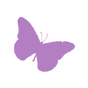 south care homes ltd