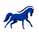 genius equestrian limited