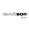 the davidson group limited