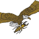 millennium term limited