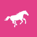 rogue ponies limited