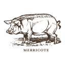 merricot ltd