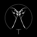 fragile fight limited