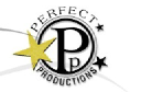 perfect 10 productions limited